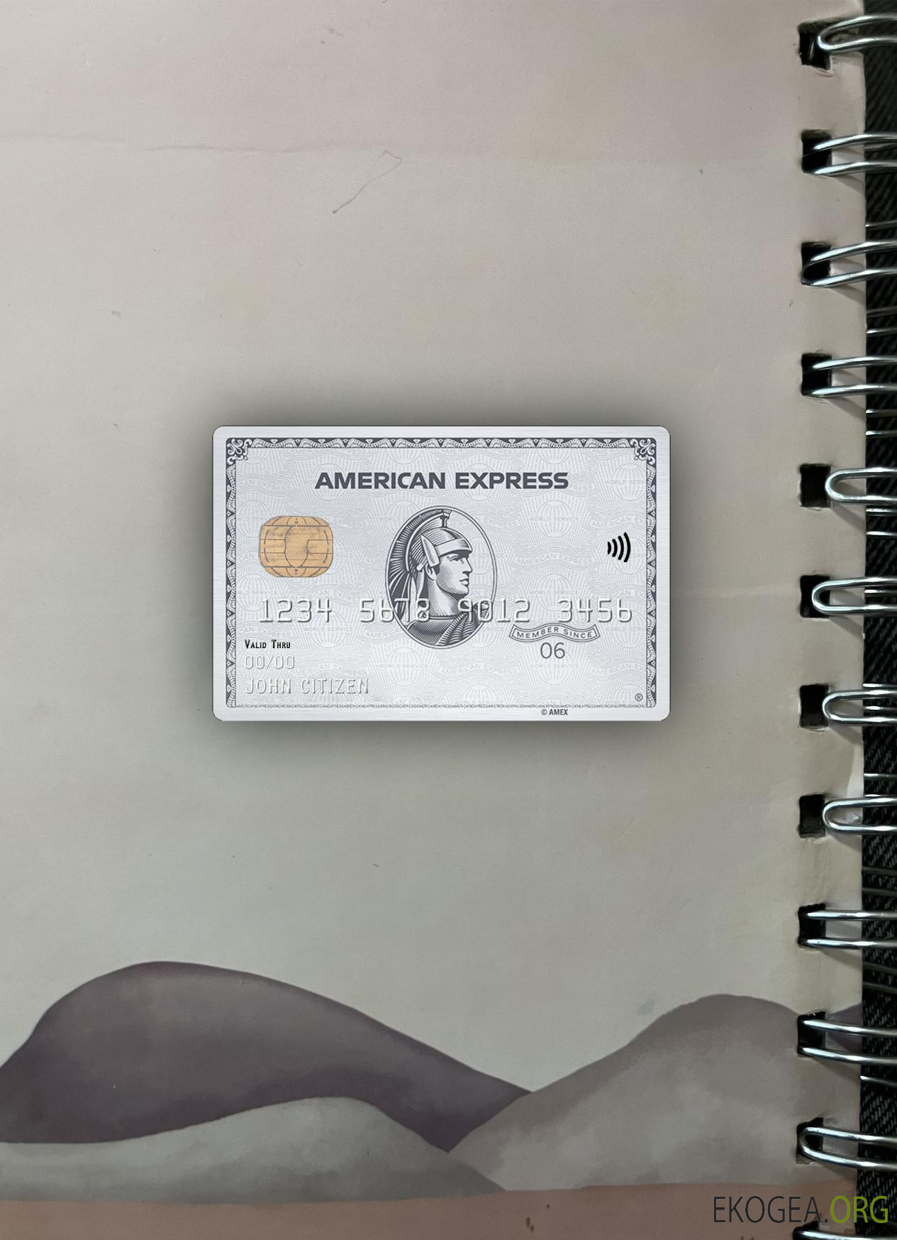 USA NAB bank AMEX Platinum Card photolook recto